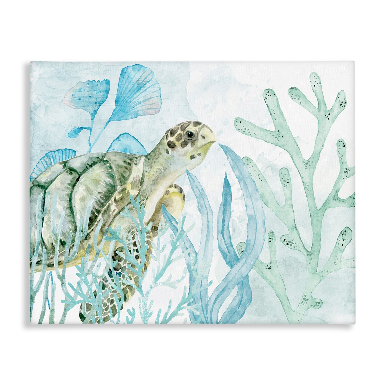 Stupell Industries Turtle in Watercolor Coral Canvas Wall Art Design by Kim Allen